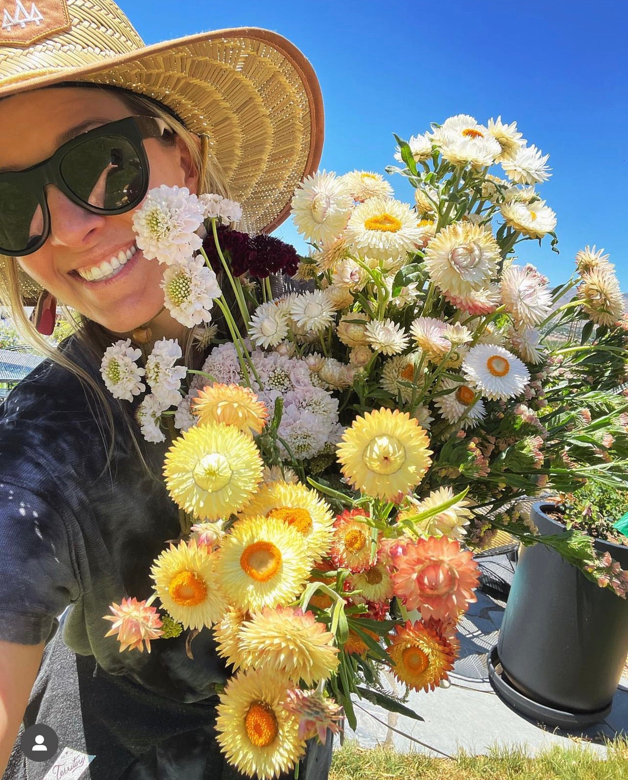 Summer 2023 Flower Club Subscription | 6 weeks